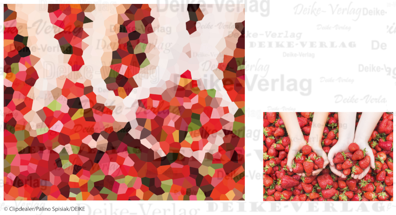 Erdbeeren - Fotorätsel