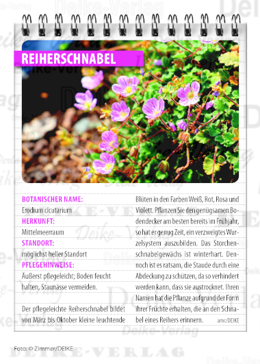 Reiherschnabel