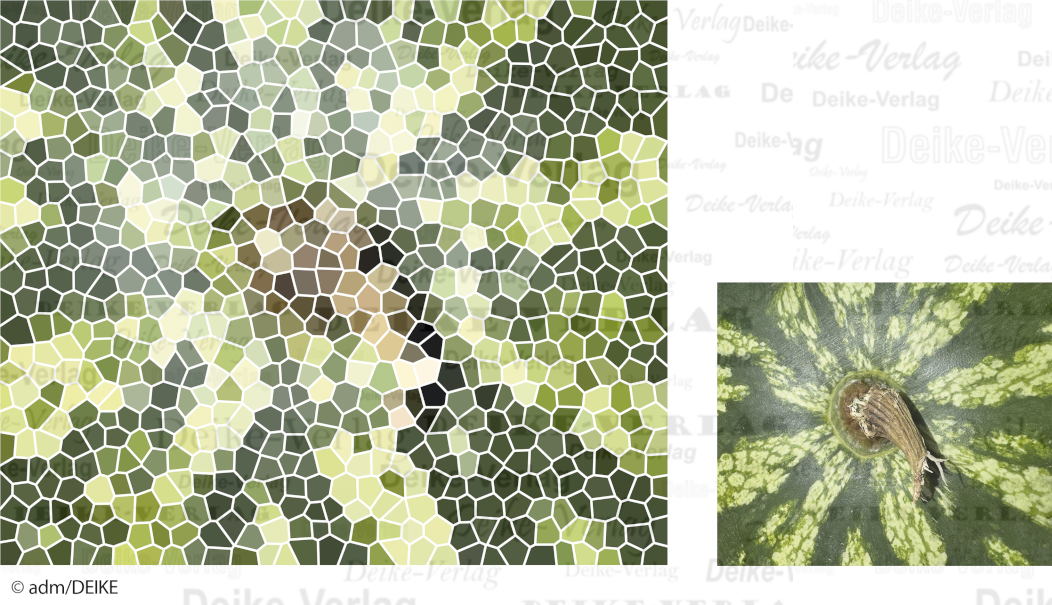 Wassermelone - Fotorätsel