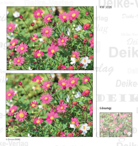 Blumewiese - Fehlerbilder KW 3026