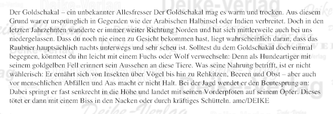 Der Goldschakal - ein altbekannter Allesfresser