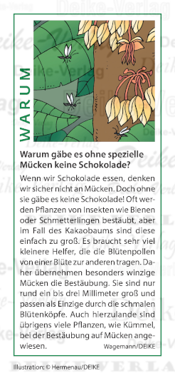Warum gäbe es ohne spezielle Mücken keine Schokolade?