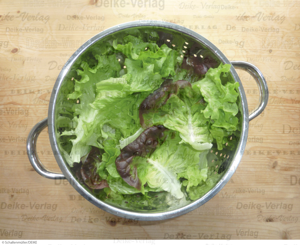 Salat 