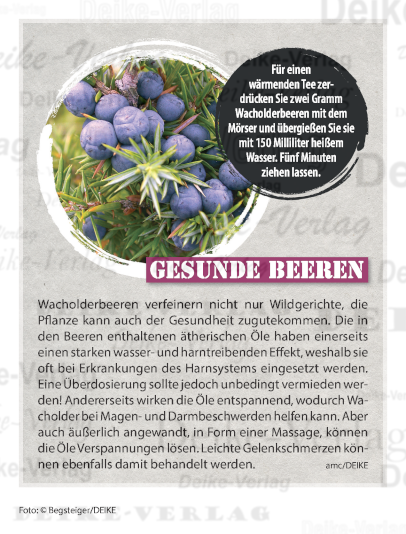 Wacholder