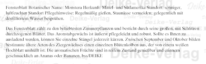 Garten und Pflanzen: Fensterblatt 