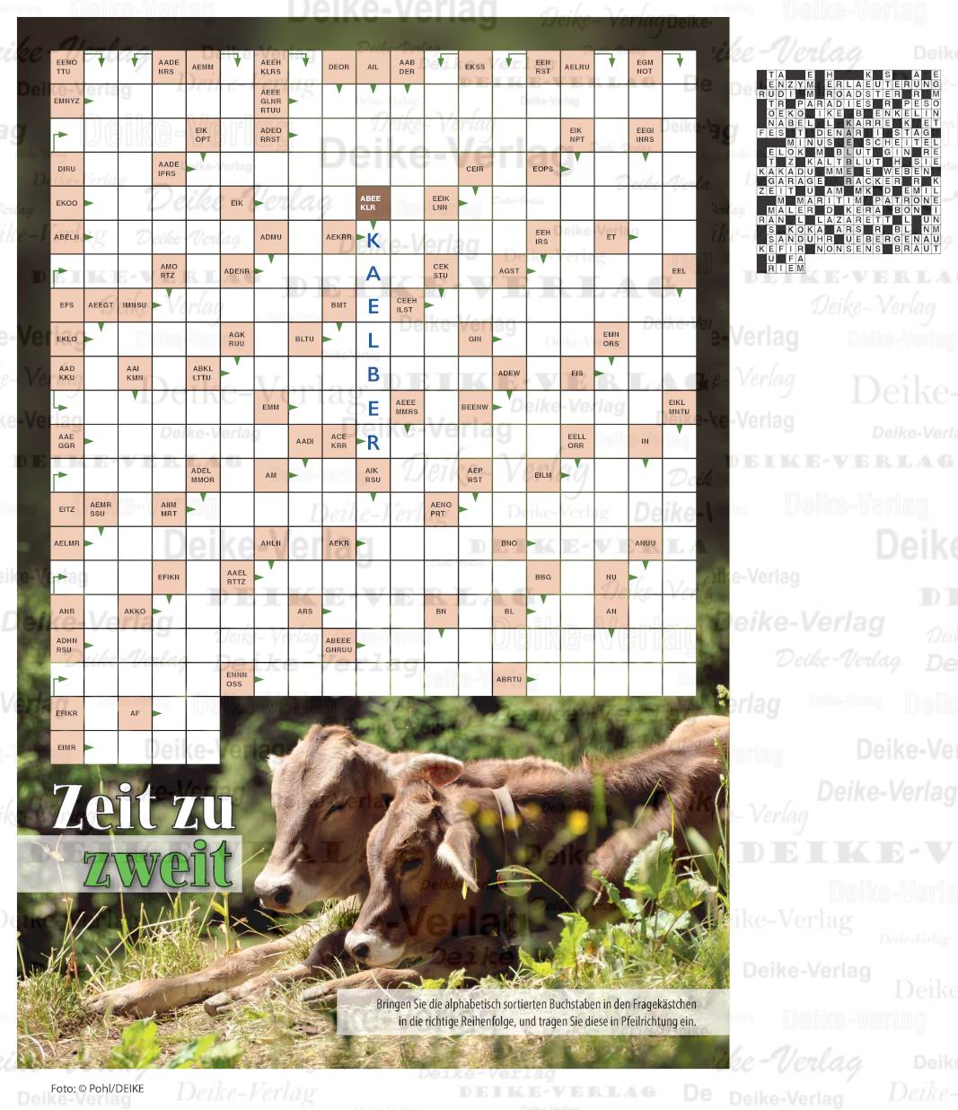 Zeit zu zweit (Schwedenrätsel)