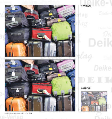 Koffer - Fehlerbilder KW 2925