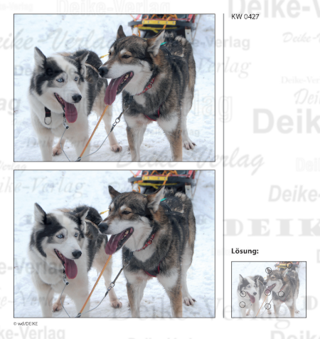 Huskys - Fehlerbilder KW 0427