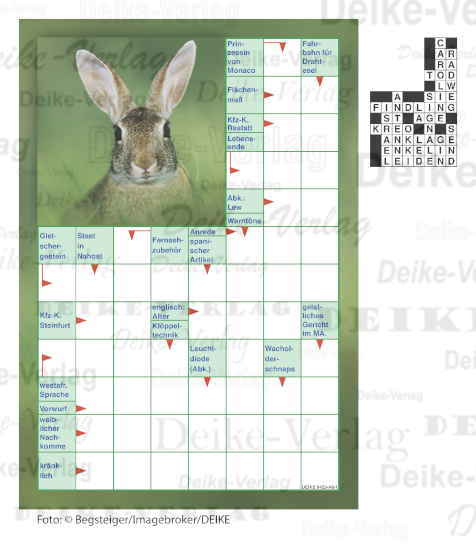 Hase (Schwedenrätsel) DIN A6