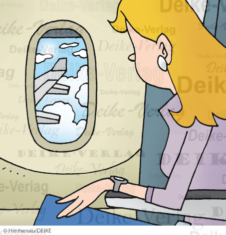 Flugzeugfenster