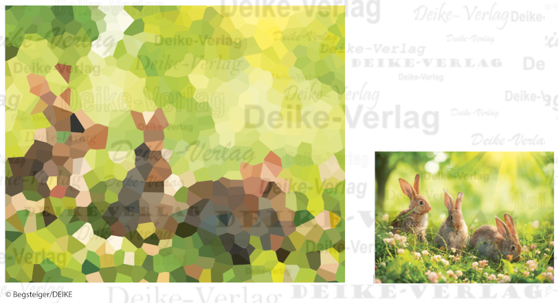 Hasen - Fotorätsel