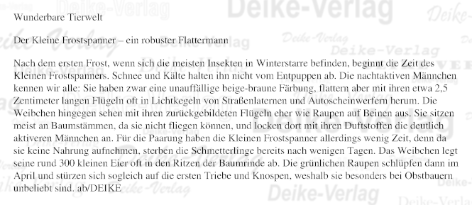 Der Kleine Frostspanner – ein robuster Flattermann