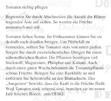 Tomaten richtig pflegen