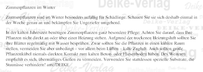 Zimmerpflanzen im Winter