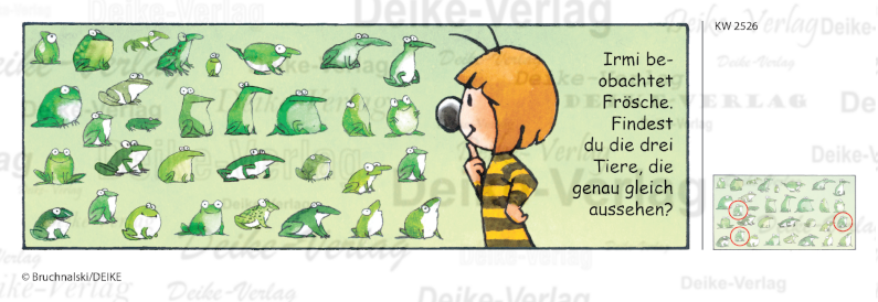 Frösche - Irmi die Rätselbiene KW 2526