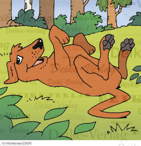 wälzender Hund 