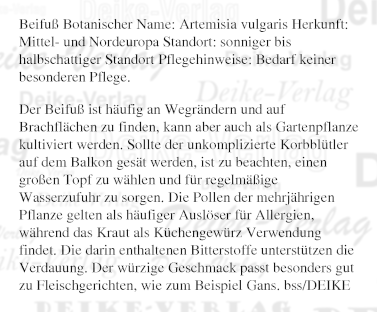 Beifuß