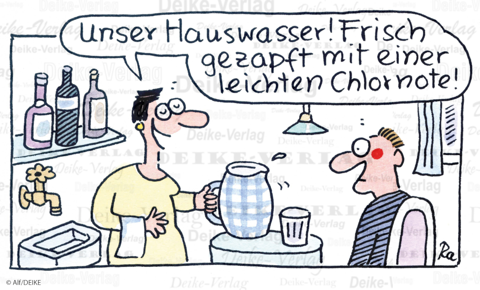 Hauswasser