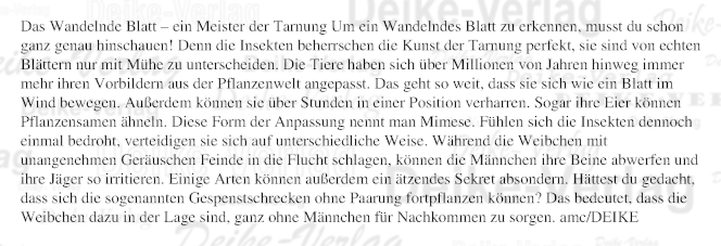 Das Wandelnde Blatt – ein Meister der Tarnung