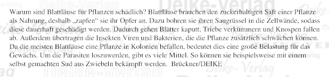 Warum sind Blattläuse für Pflanzen schädlich?