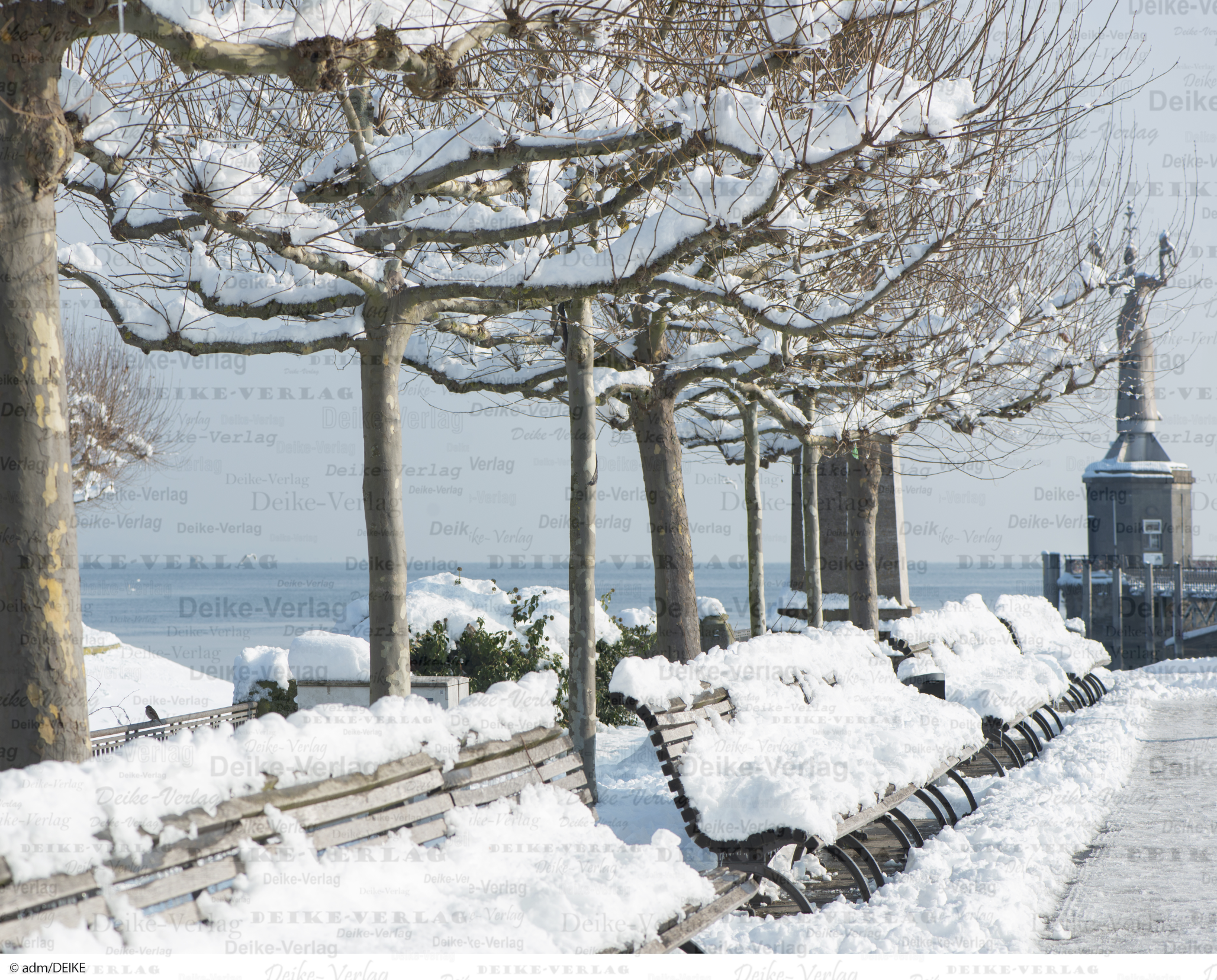 Winter am See