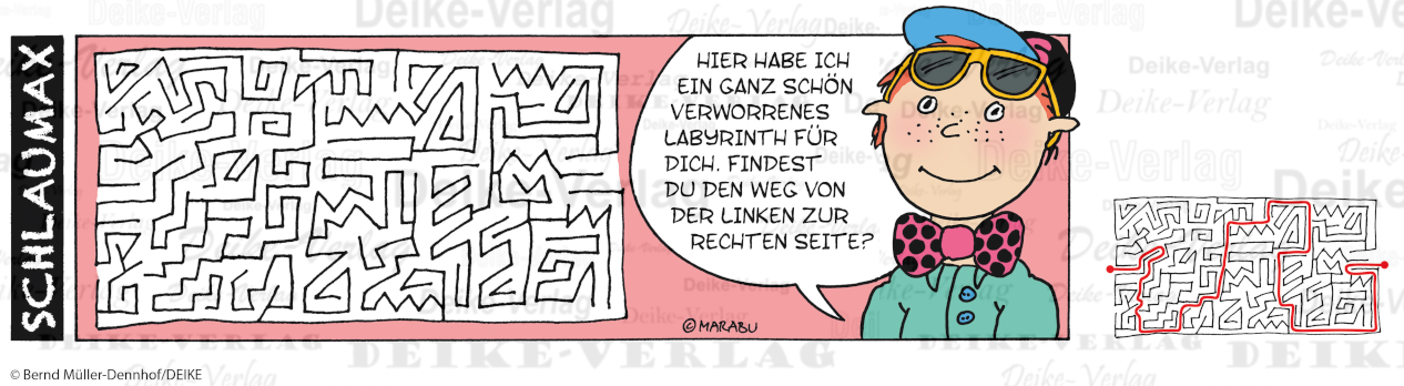 Labyrinth - Schlaumax KW 2919