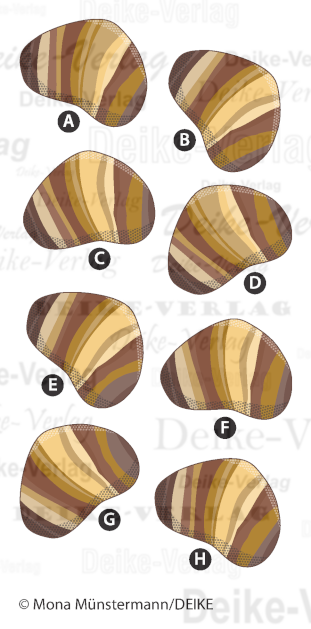 Tigeraugen - Paare finden
