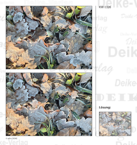 Blätter - Fehlerbilder KW 0326