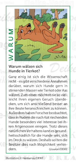 Warum wälzen sich Hunde in Tierkot?