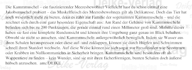 Die Kammmuschel – ein faszinierender Meeresbewohner