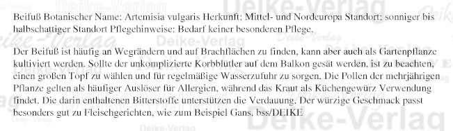Beifuß