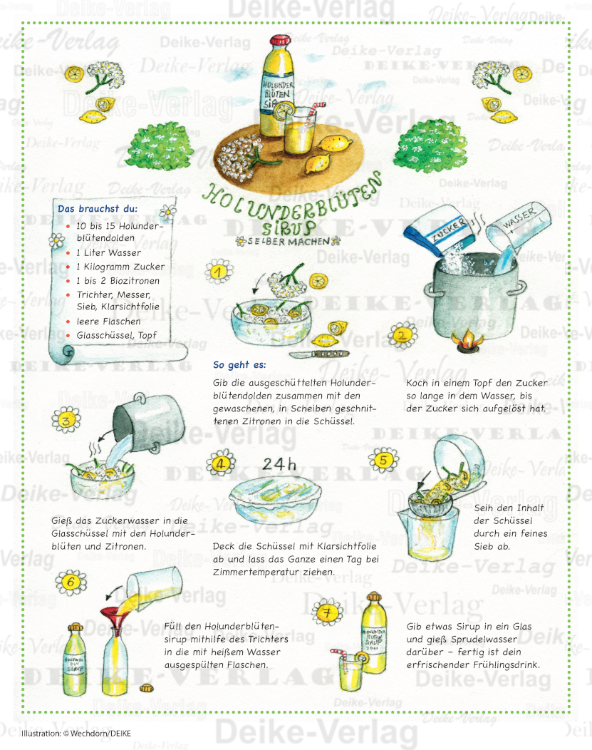 Holunderblütensirup