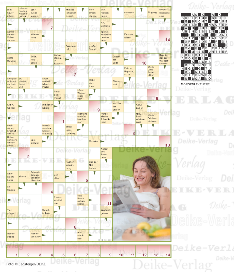 Morgenlektüre (Schwedenrätsel) 1420