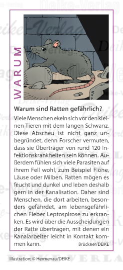 Warum sind Ratten gefährlich?