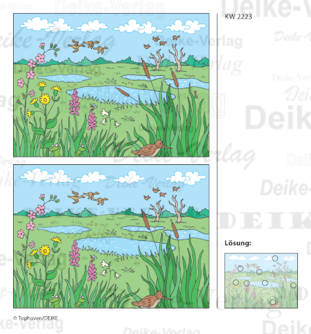Moor - Fehlerbild KW 2223
