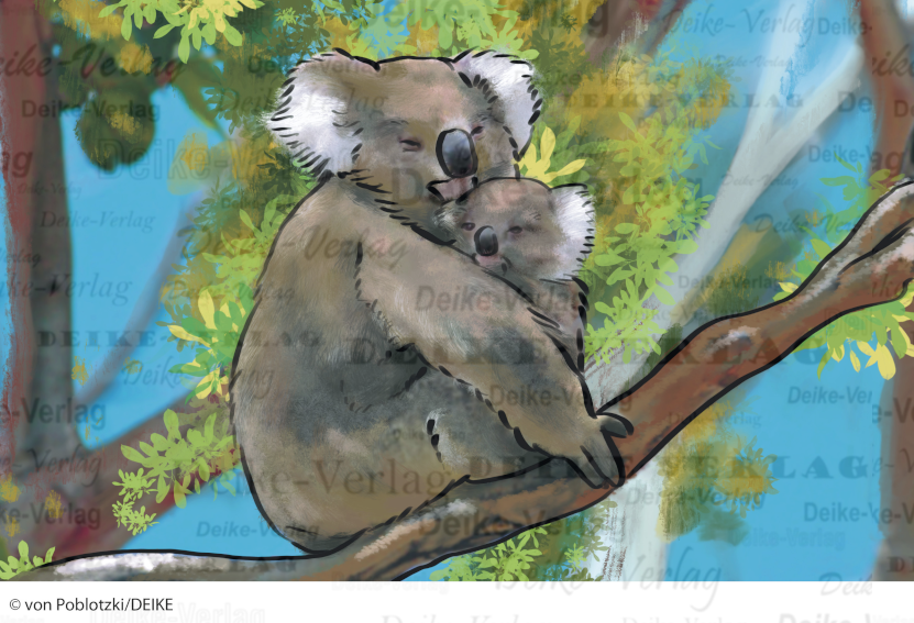 Der Koala