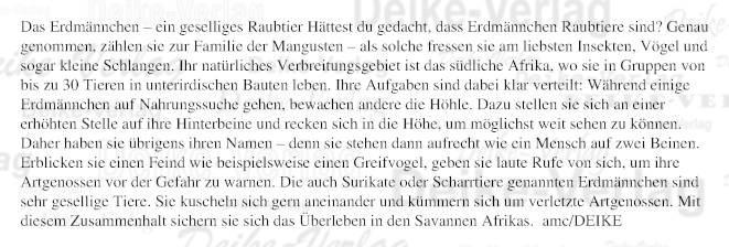 Das Erdmännchen – ein geselliges Raubtier