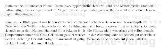 Zauberschnee