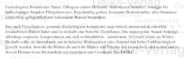 Fackelingwer