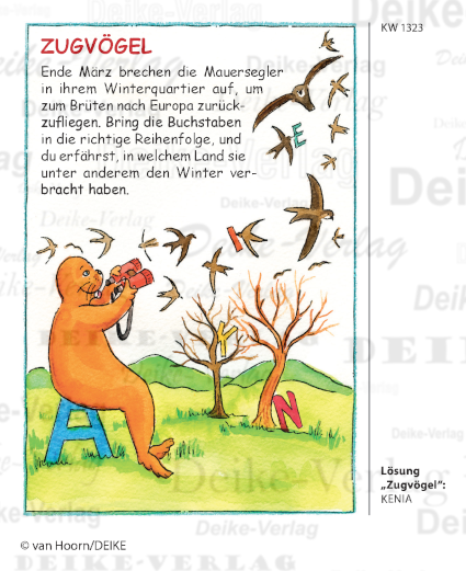 Mauersegler - Paula das Walross KW 1323