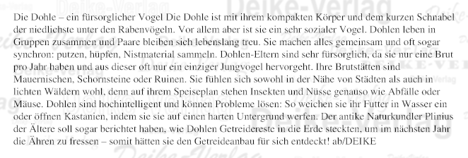 Die Dohle - ein fürsorglicher Vogel