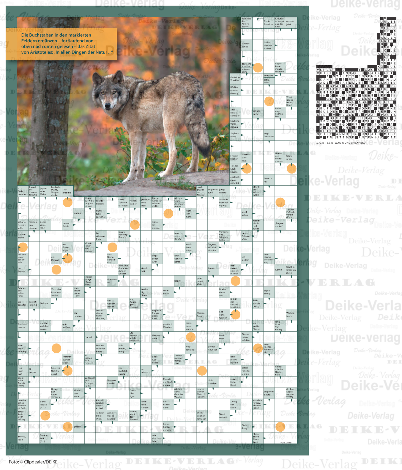 Wolf (Schwedenrätsel) DIN A3