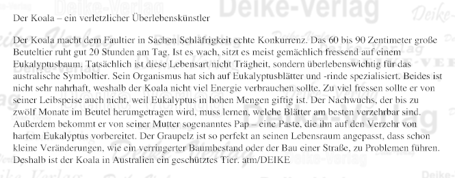 Der Koala