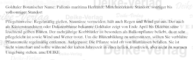 Garten und Pflanzen: Goldtaler