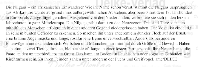 Die Nilgans – ein afrikanischer Einwanderer