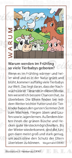 Warum werden im Frühling so viele Tierbabys geboren?