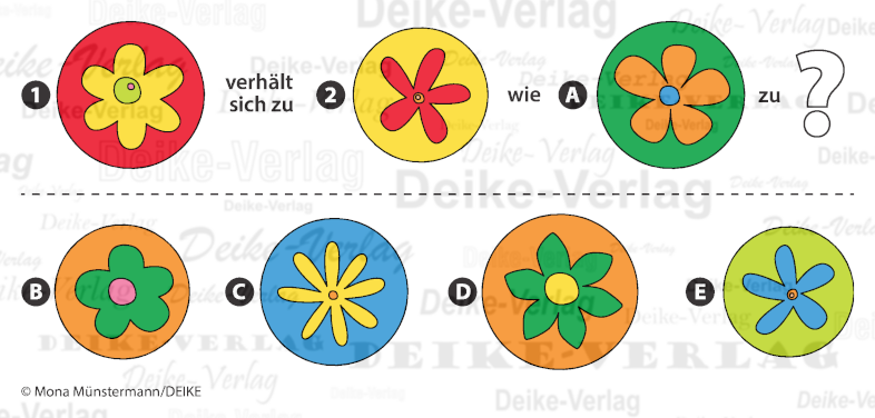 Blumen - Verhält sich zu