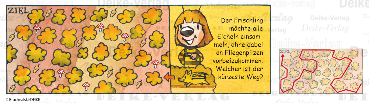 Pilzlabyrinth -  Irmi die Rätselbiene KW 4124