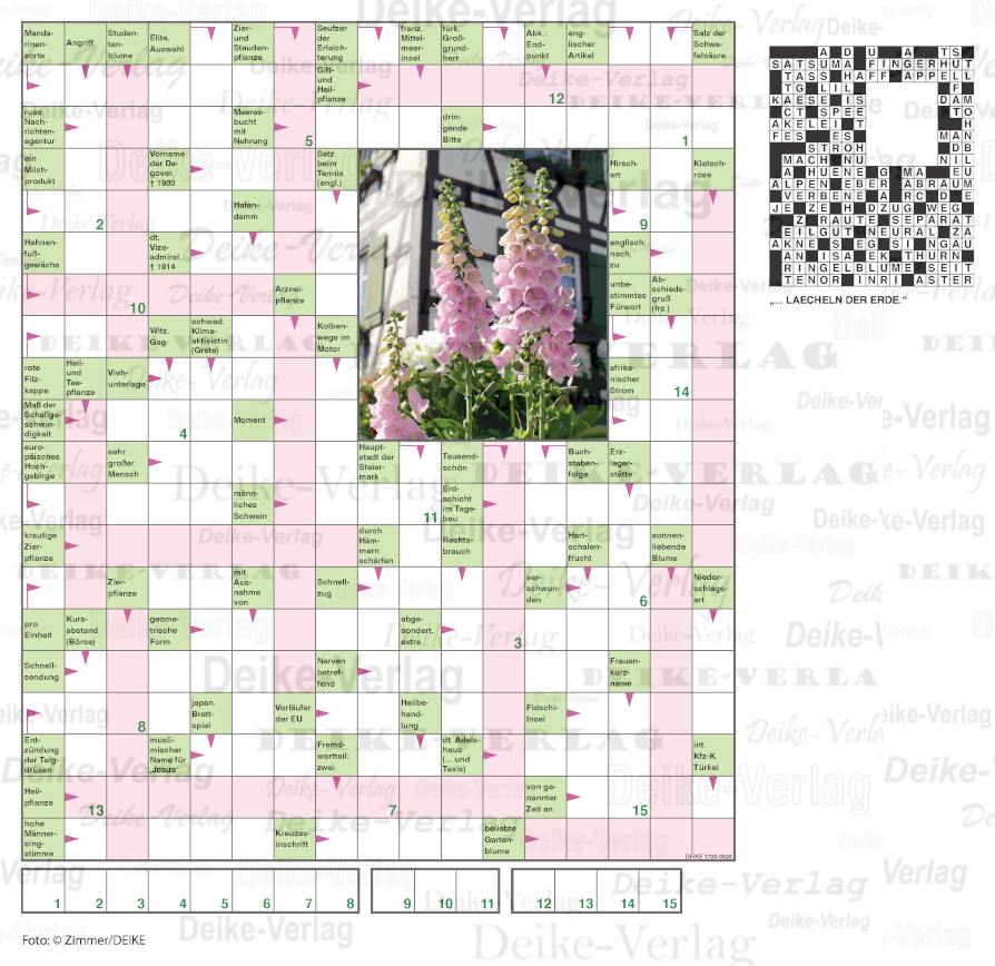 Lächeln der Erde (Schwedenrätsel) 1720