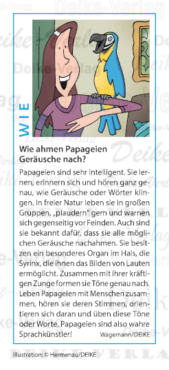 Wie ahmen Papageien Geräusche nach?